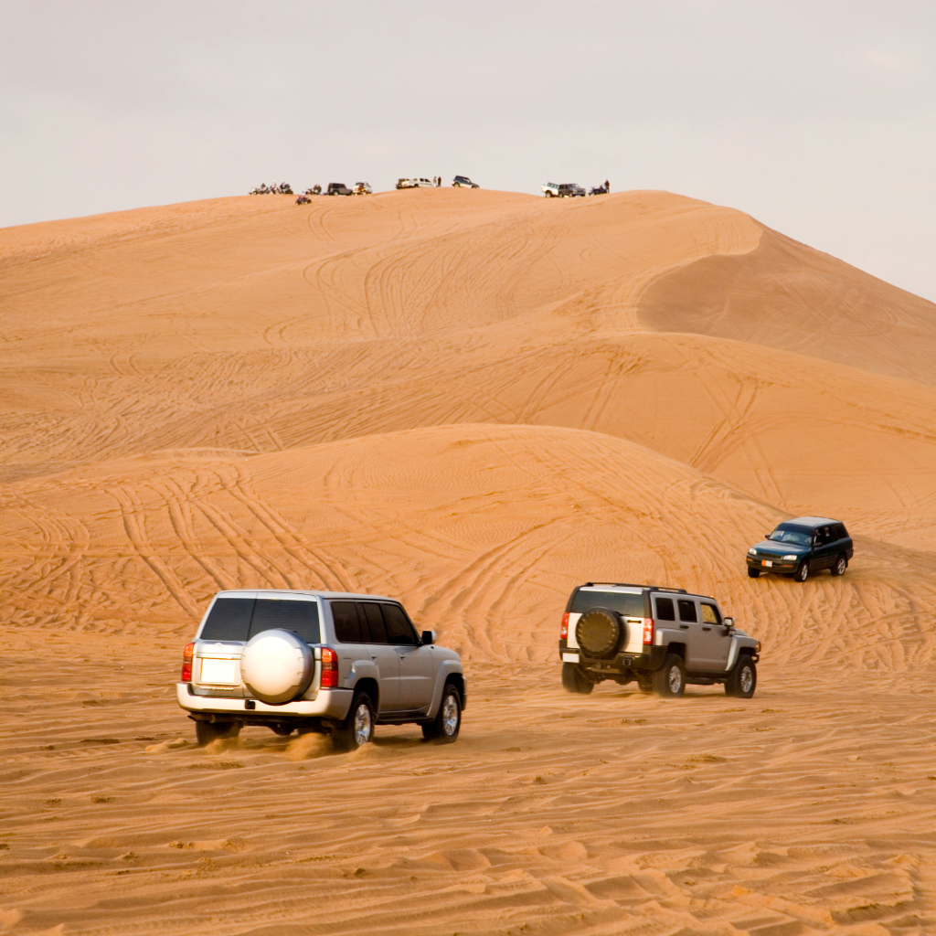 Desert Safari Self Drive