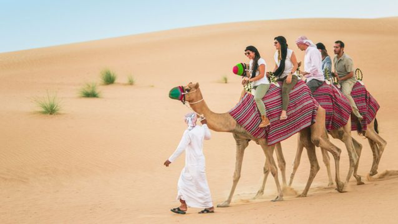 Camel Riding in Dubai