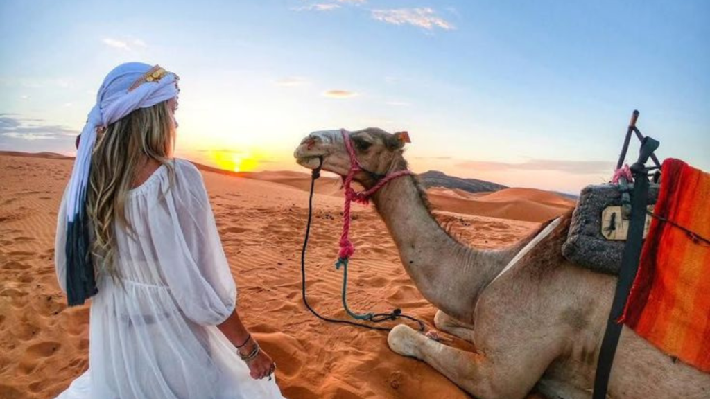 Camel Ride in Dubai