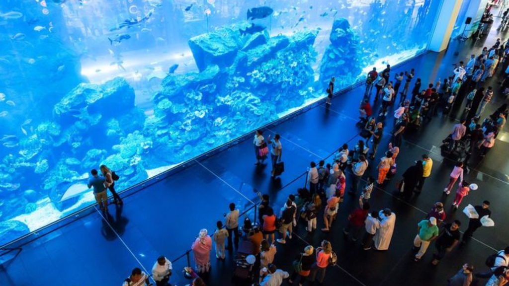 Dubai Aquarium