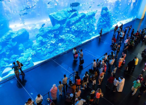 Unravel the Wonders of Dubai Aquarium