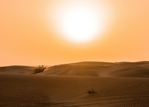 Tips for Beating the Sun During The Desert Safari Dubai