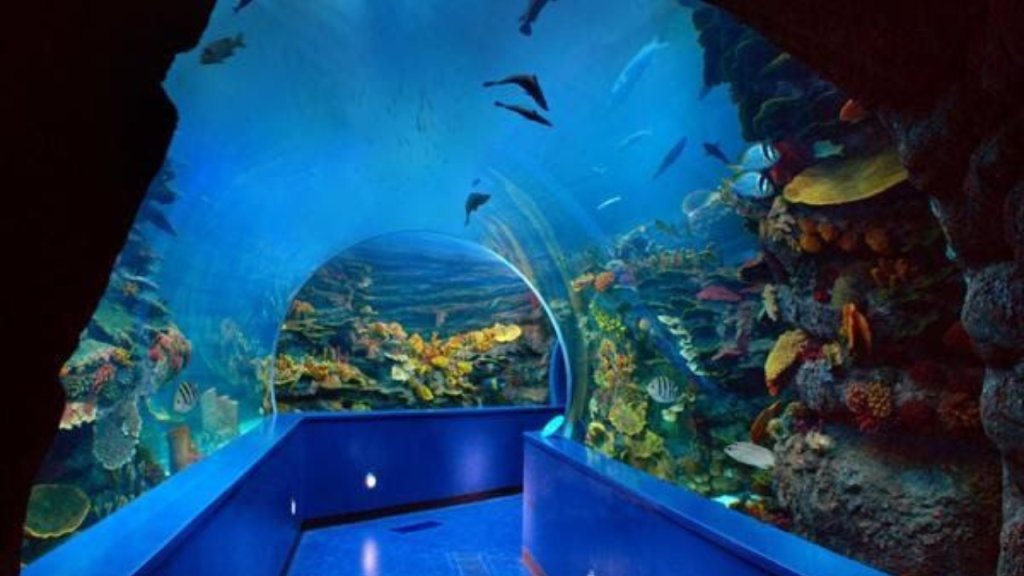 Sharjah Aquarium Dubai