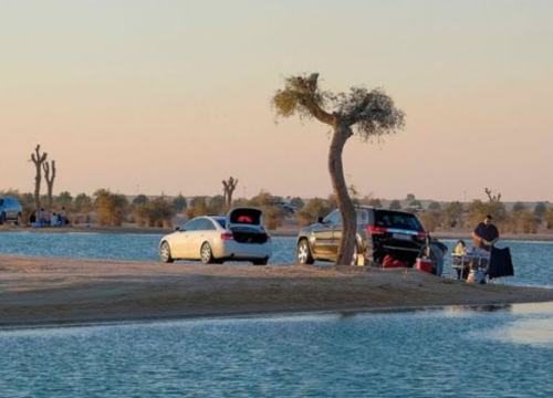 Unwind in the Serene Ambiance of Al Qudra Lake Dubai