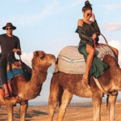 Camel Rides