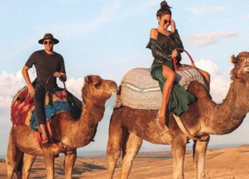 Exploring the Desert: A Beginner’s Guide to Camel Rides in Dubai