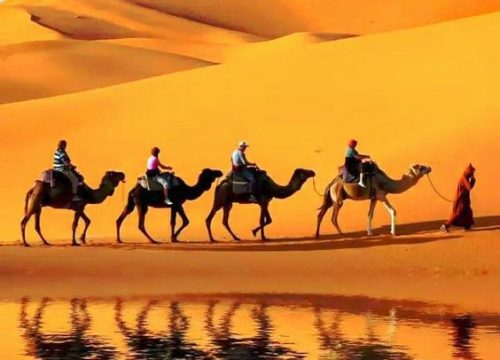 Seek Wonderful Desert Safari Dubai landscape