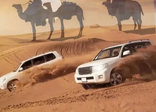 What Makes People Attract to a Trip of Desert Safari